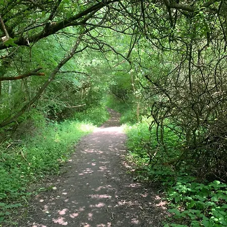 Apartamento Moderne Kate Kiel